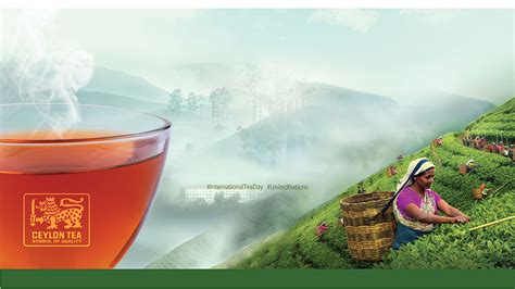 Ceylon Tea Worlds Finest Tea From Sri Lanka Official Site