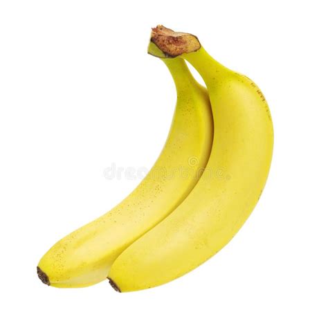 Fresh Ripe Bananas Stock Photo Image Of Group Banana 145353552
