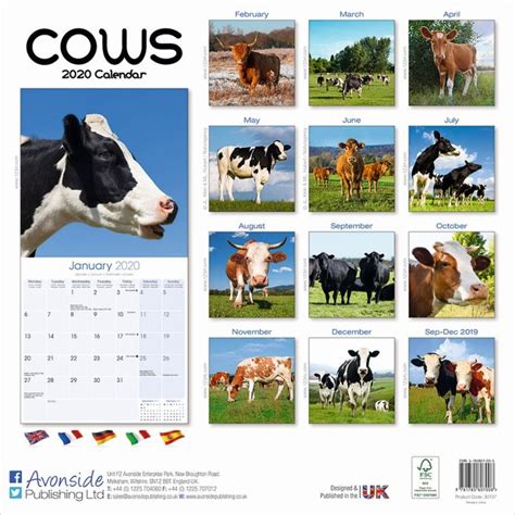 Cow Calendar 2021 Calendar Page