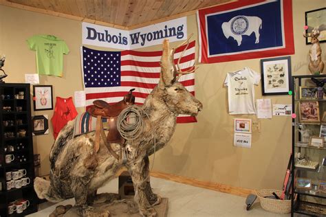 The Worlds Largest Jackalope Is Found In This Wyoming Town