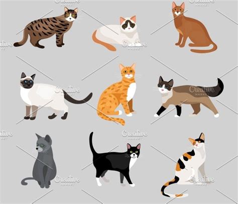 Cute Cartoon Kitties Or Cats ~ Icons ~ Creative Market
