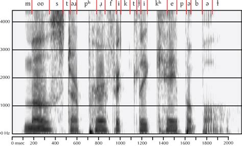 Solution To Last Months Mystery Spectrogram Rob Hagiwara