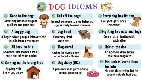 Dog Idioms And Sayings List Of 35 Interesting Idioms Related To Dog