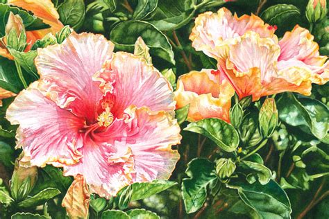 Painting Harmony Hibiscus Original Art By Debbie Friis Pettitt