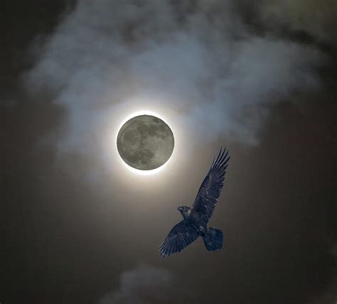 Raven Moon Photograph By Richard Griffis