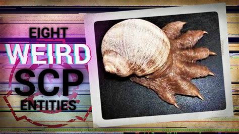 The Weirdest Scp Entities Of All Time Top Scps Youtube