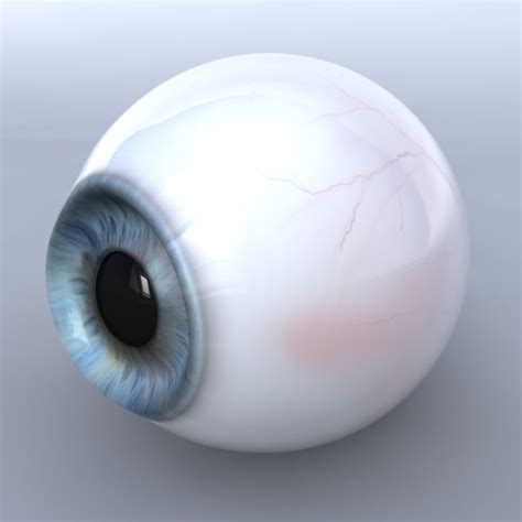 C4d Realistic Human Eye