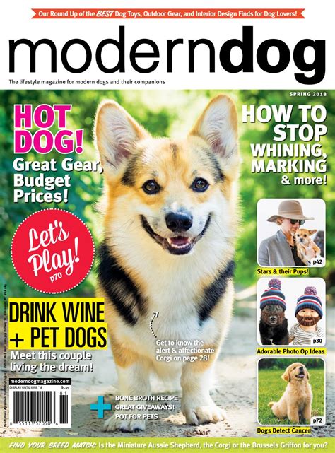 Modern Dog Spring 2018 By Modern Dog Magazine Issuu