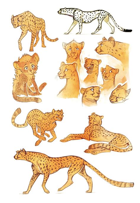 Références Guépard Animal Sketches Animal Drawings Art Sketches