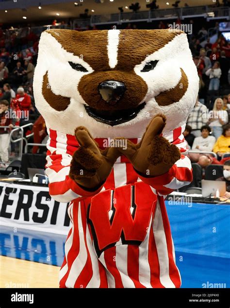 Wisconsin Badgers Mascot Bucky Badger Hi Res Stock Photography And