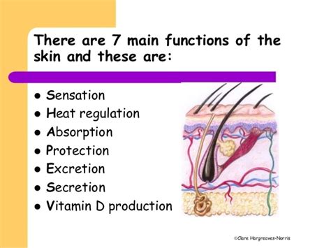 Facial Skin Functions