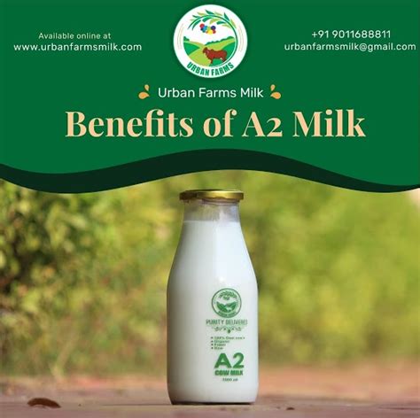 Top 10 Benefits Benefits Of A2 Milk For Fitness And Healthy Body A2