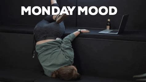 Feeling Monday Morning GIF By Rise At Seven Find Share On GIPHY
