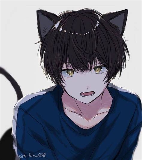 Anime Neko Tv Anime Anime Plus Fanarts Anime Anime Characters