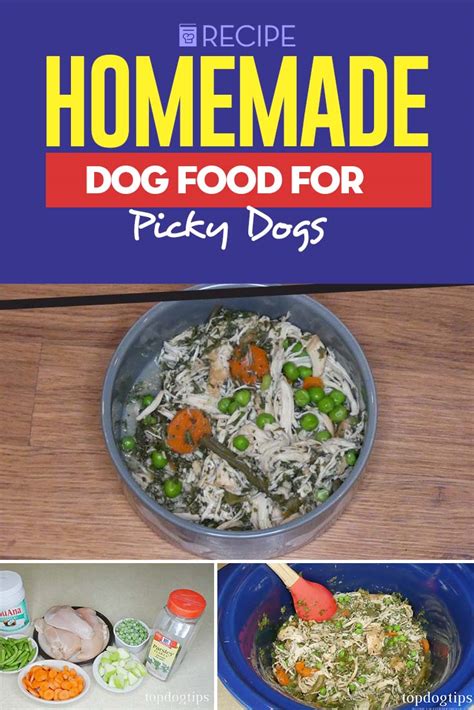 Can you share cat food/ treats recipes? Homemade Dog Food for Picky Dogs Recipe