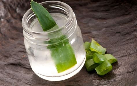 Make Your Own Aloe Vera Water With This Recipe Babosa Produtos De