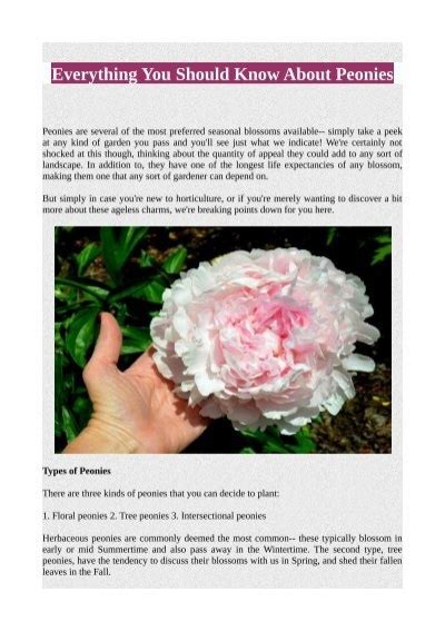 Everything You Should Know About Peonies