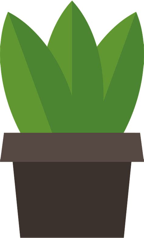 Potted Plant Clipart Free Download Transparent Png Creazilla