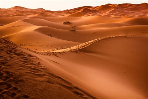 Sahara Desert trips and camel trekking- morocco-places