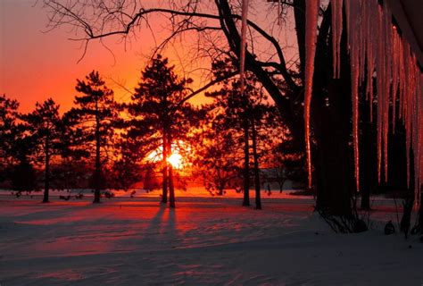 Sunset In Winter Forest The 10 Most Amazing And