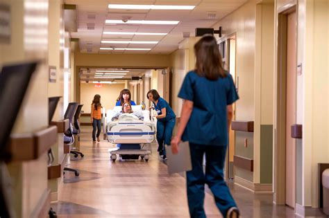 Mayo Clinic Express Care at Margaret Schisler blog