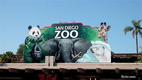 Three Readers Offer Great Ideas From The San Diego Zoo The Enrichment