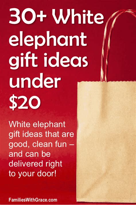 30 White Elephant T Ideas Under 20 Families With Grace