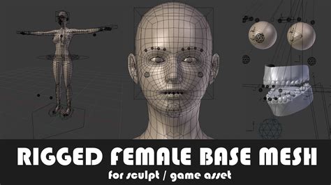 3d model fully rigged female base mesh with face rig for blender vr ar low poly rigged
