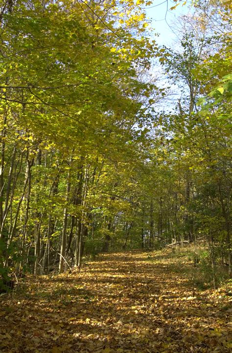 Check spelling or type a new query. Gr8LakesCamper: Hueston Woods State Park | Good Sam ...