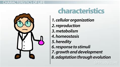 8 Characteristics Of Life In Biology Video And Lesson Transcript