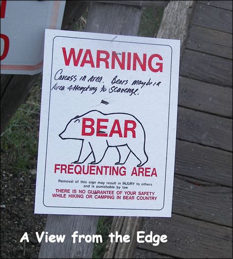 A View From The Edge Signs Beware Of Bear