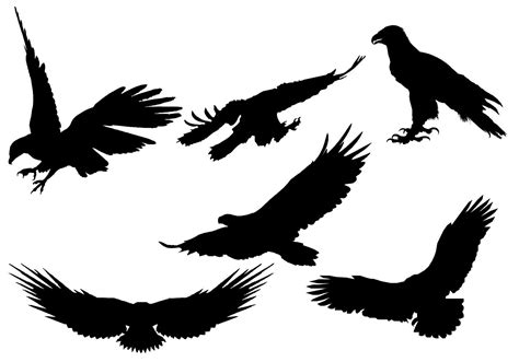 Free Eagle Silhouette Vector | Eagle silhouette, Silhouette vector, Flying bird silhouette