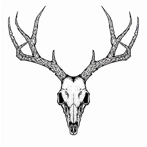 Learn 99 About Deer Skull Tattoo Best Indaotaonec