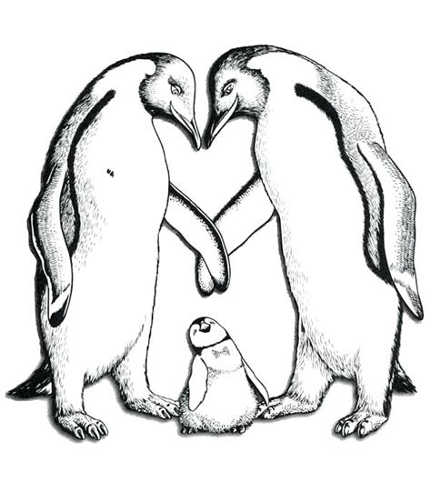 Of Happy Feet Penguin Sheet Coloring Pages