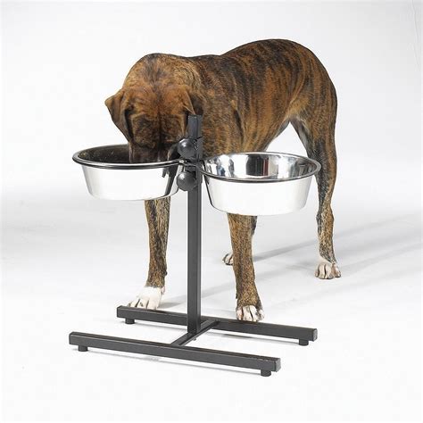 Raised Dog Bowls For Large Dogs Elevated Tall Breeds Great Dane 2 Quart