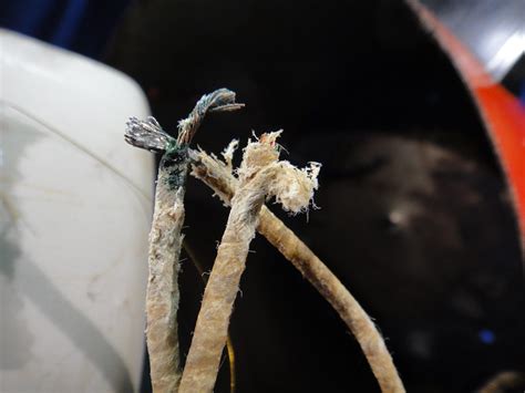 So how do you identify asbestos? Vintage Crockpot Asbestos Insulated Wiring | Flickr ...