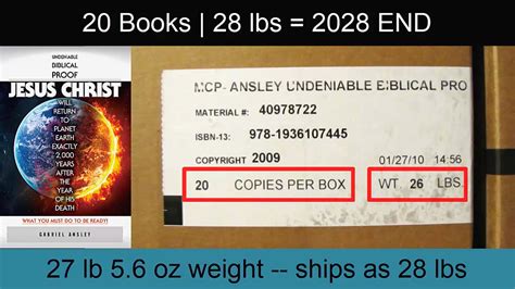 This Is How They Tell Me The World Ends - 11) BOX OF "2028 END" BOOKS - 2028 End (Of The World)2028 End (Of The
