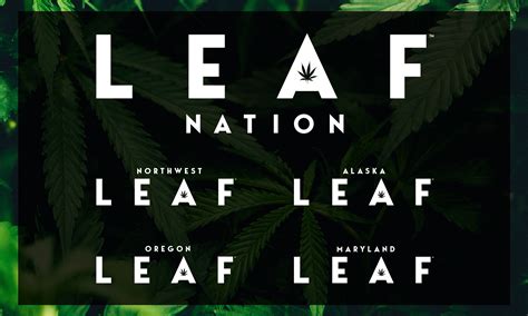 Leaf Nation Publication Brand Redesign And Cover Design On Behance