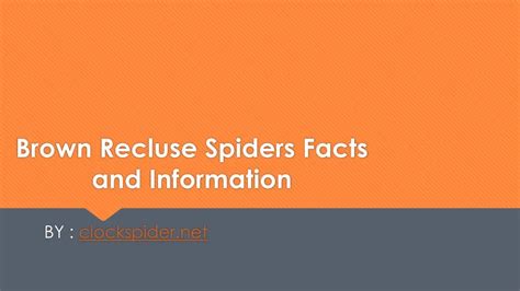 Ppt Brown Recluse Spider Bite Time Lapse Progression Powerpoint