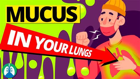 7 Causes Of Increased Mucus In Your Lungs Clearing Congestion Youtube