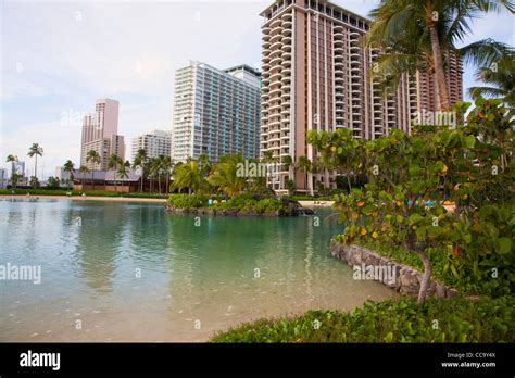 Hilton Hawaiian Village Waikiki Beach Resort Fotografías E Imágenes De