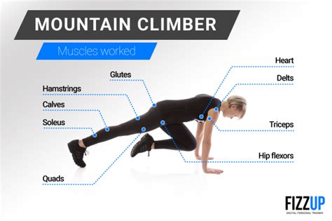 Get Ready To Outdo Yourself With The Mountain Climber Fizzup
