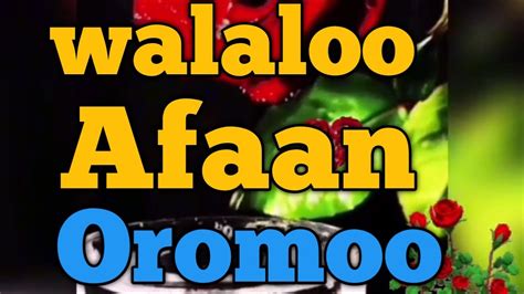 Walaloo Afaan Oromoo Waaee Qabsaaota Oromoofi Oromiyaa Ergaa Guddaa