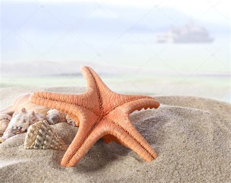 Starfish On The Beach — Stock Photo © Silvae 5587581