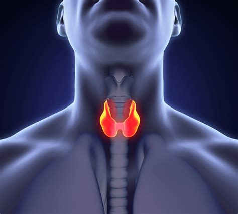 Thyroid Cancer | Savor Health