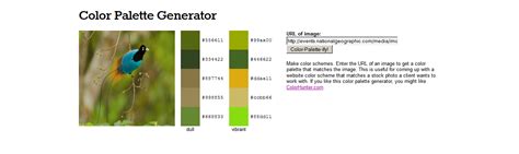 Download palette to adobe photoshop swatches , pdf, svg and more. 5 Color Tools For Web Design