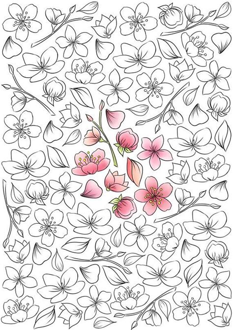 21 Cherry Blossom Coloring Pages Color Info