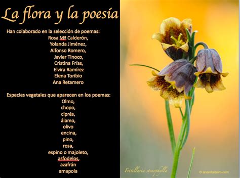 Blog Del Ies Laguna De Tollón Semana De La Poesía Poesía Y Flora