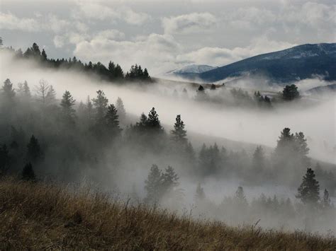 7 Types Of Fog You Didnt Know Had Names