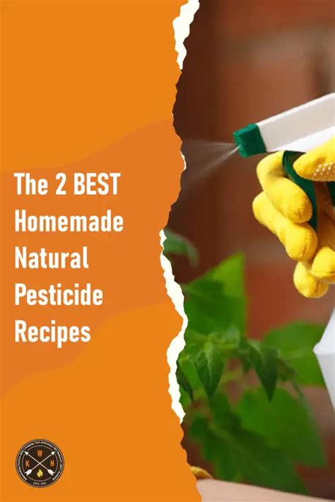 The 2 Best Homemade Natural Pesticide Recipes